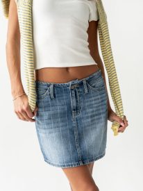 Alder Striped Denim Mini Skirt