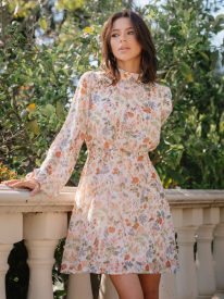Harlie Chiffon Mini Dress