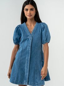 Correy Denim Mini Dress
